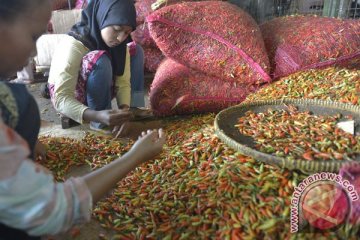 Pasokan sayur dan buah di Pasar Induk Kramat Jati aman 