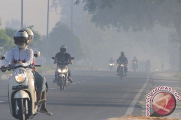 Empat daerah di Riau berselimut asap