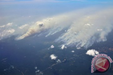 Warga Rokan Hilir mengungsi akibat kebakaran hutan