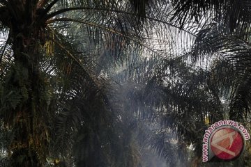 Bayu terpaksa jalan ke sekolah puluhan kilometer