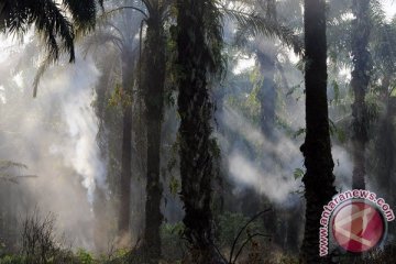 Dua pembakar cagar biosfer Siak kabur ke Sumut