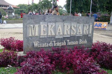 Mekarsari gelar 'Farmer Market" selama liburan