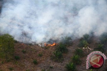 Satelit deteksi 450 titik api di Sumatera