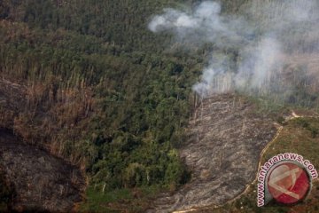 Tiga wilayah Riau masih diselimuti kabut asap