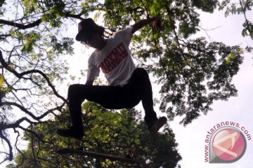 Hari Skateboard Sedunia