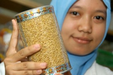 IPB Ciptakan Beras Tiruan