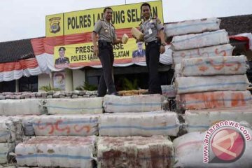 Polisi sita enam ton ganja di Bakauheni