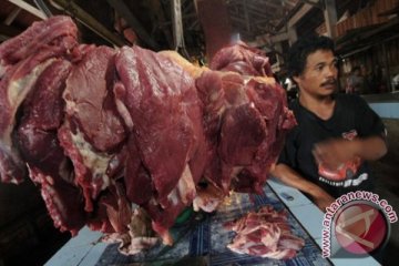 Pemerintah akan stabilkan harga daging pada Rp75-80 ribu