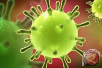 Peneliti temukan antibodi untuk virus MERS