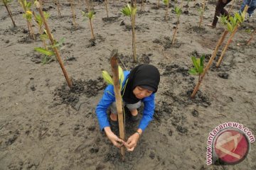 UPR beri beasiwa mahasiswa korban tsunami palu