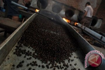 "Nyah-nyah" kopi meriahkan Festival Pertanian di Badung
