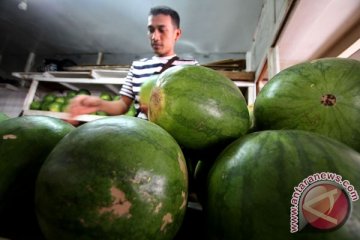 "Inul-Jupe" diburu warga Padang saat Ramadhan