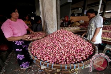 Harga bawang merah di Sampit turun tajam