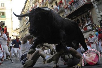 Festival San Fermin, banteng seruduk tiga pria