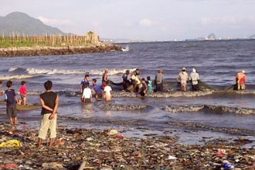 Melawan Ombak