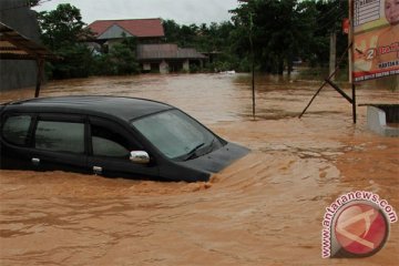 Diterjang banjir, 100 hektare sawah di Kendari terendam