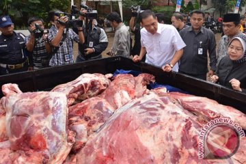 Sulawesi Tengah tidak perlu daging sapi impor