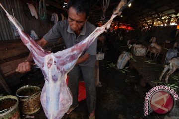 Harga daging kambing Idul Adha Rp100 ribu per kilogram