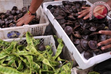 Harga Jengkol dan Petai Melonjak