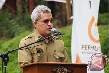 Perhutani operasikan pabrik sagu tahun depan