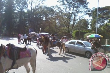 Lebaran, warga Bandung serbu wisata kuda