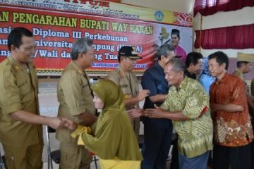 Program D3 Waykanan