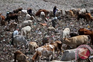 Pembangkit listrik tenaga sampah Pekanbaru dibangun tahun depan