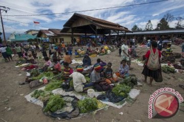 Warga Jayawijaya-Papua bersama TNI panen padi organik