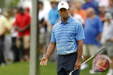 Tiger Woods dan Rory sukses hari pertama  Match Play