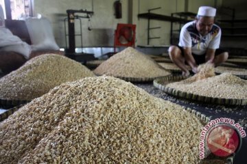 Harga kedelai Rp7.000/kg menarik bagi petani