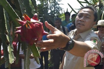 Menhut sindir orang tua `pelit` biayai anak