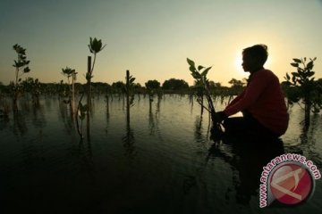 Para santri tanam 10.000 bakau di Situbondo