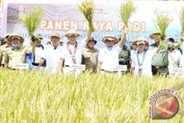 PANEN RAYA