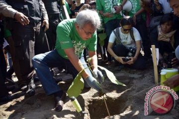 IWAN FALS TANAM POHON