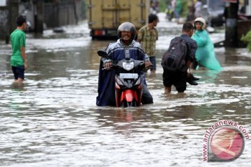Banjir Bungus diduga akibat pembalakan liar