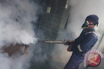 Penderita demam berdarah di Kota Batu meningkat