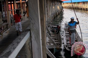 Berkawan laut di Torosiaje