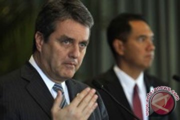 Pemimpin WTO ingatkan "efek domino" tarif dagang AS