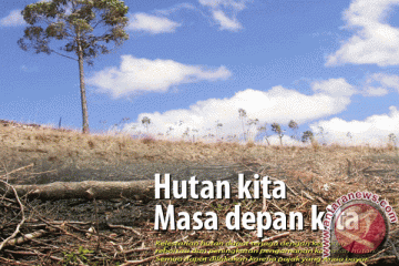 Menyikapi pengelolaan hutan Indonesia