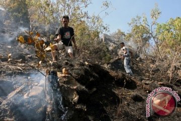 Polda Jambi tetapkan 20 tersangka pembakar hutan