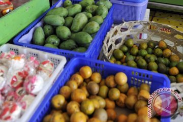 Mendag dorong buah lokal jadi produk ekspor