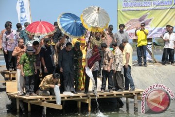 RI Jadikan Udang Komoditas Strategis