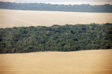 Bela Hutan Amazon, aktivis lempar cat ke Kedubes Brasil di London