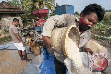 Tidak ada pemotongan dana desa di Kabupaten Buru-Maluku, sebut pejabat