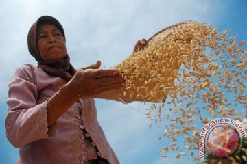 BP Batam tegaskan tidak ada impor beras