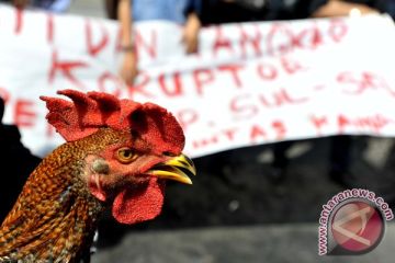 DEMO KORUPSI SULSEL