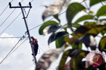 Pemeliharaan Rutin PLN