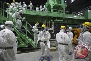 Menteri Lingkungan Hidup: Jepang harus berhenti pakai tenaga nuklir