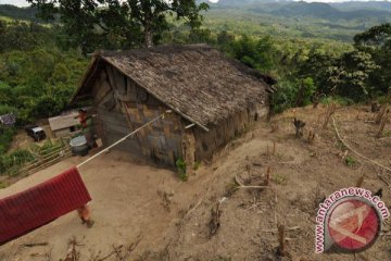 Perusak hutan kena hukuman adat di Poso