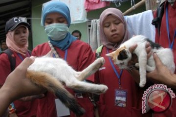 PDHI: Jabar belum terbebas dari penyakit rabies